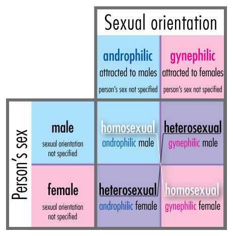 性取向-性别认同表
